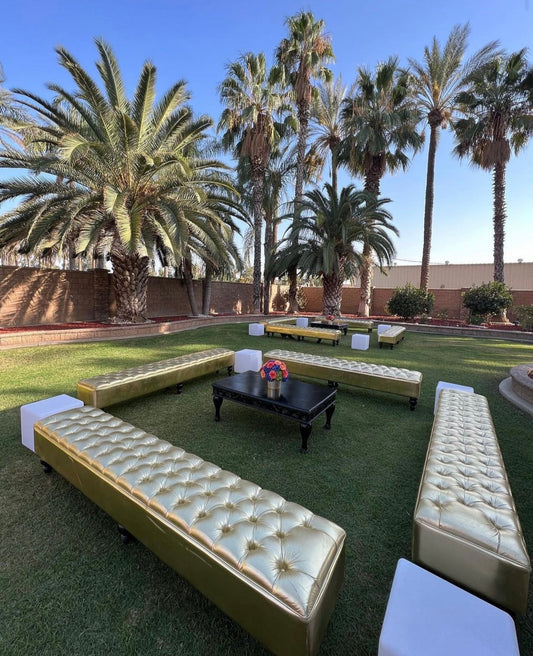 VINTAGE Black Coffee Table