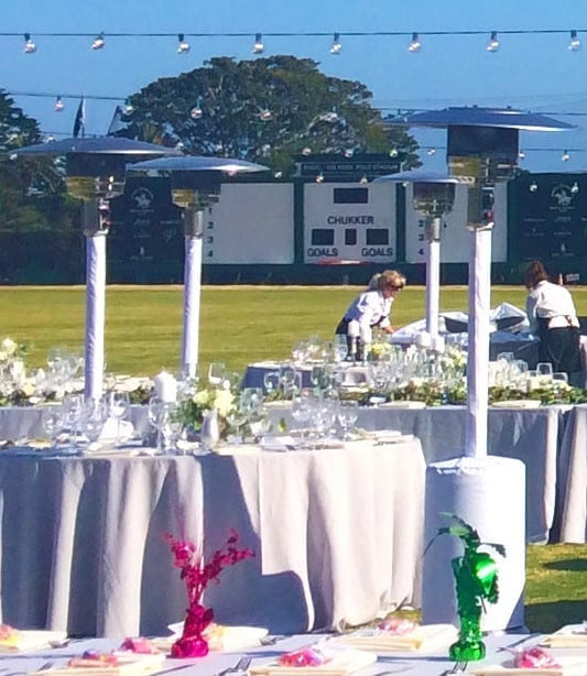 PATIO HEATER with Cover WHITE or BLACK