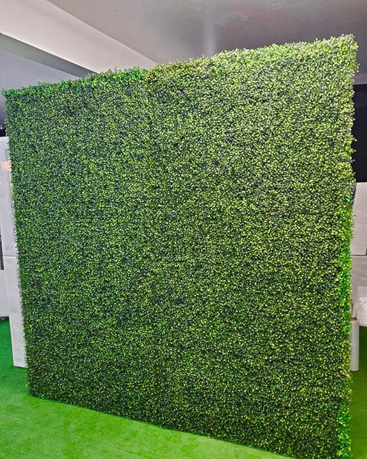 HEDGE Wall